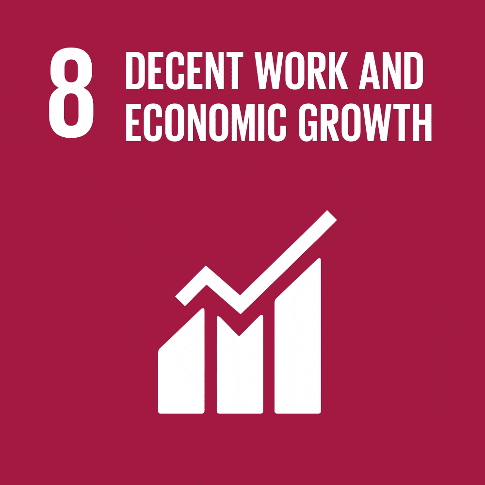 SDG 8 GIF