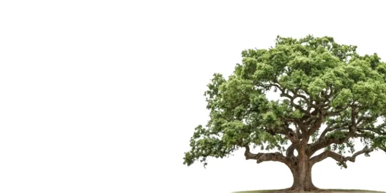 Participants in a grassroots livelihood and outreach programme